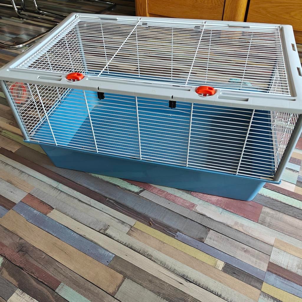 Cavia Kooi, Ophalen