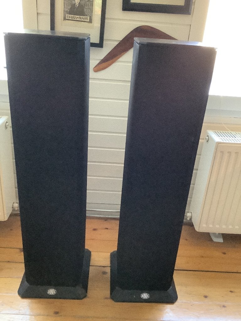Luidsprekers BSN SoundColumn II, Ophalen, Gebruikt, 60 tot 120 watt, Overige merken