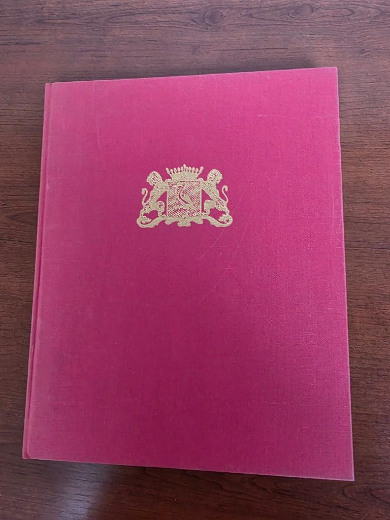 Boek Oud Den Haag in prent., Boeken, 20e eeuw of later, Ophalen of Verzenden, Zo goed als nieuw, Johan Schwencke