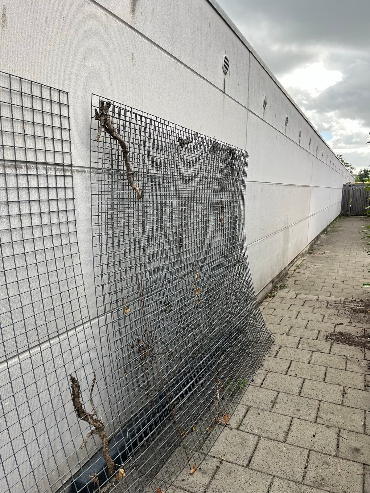 Metalen gaaspanelen voor tuin of afscheiding, Tuin en Terras, Ophalen, Gebruikt, 20 meter of meer, Gaas