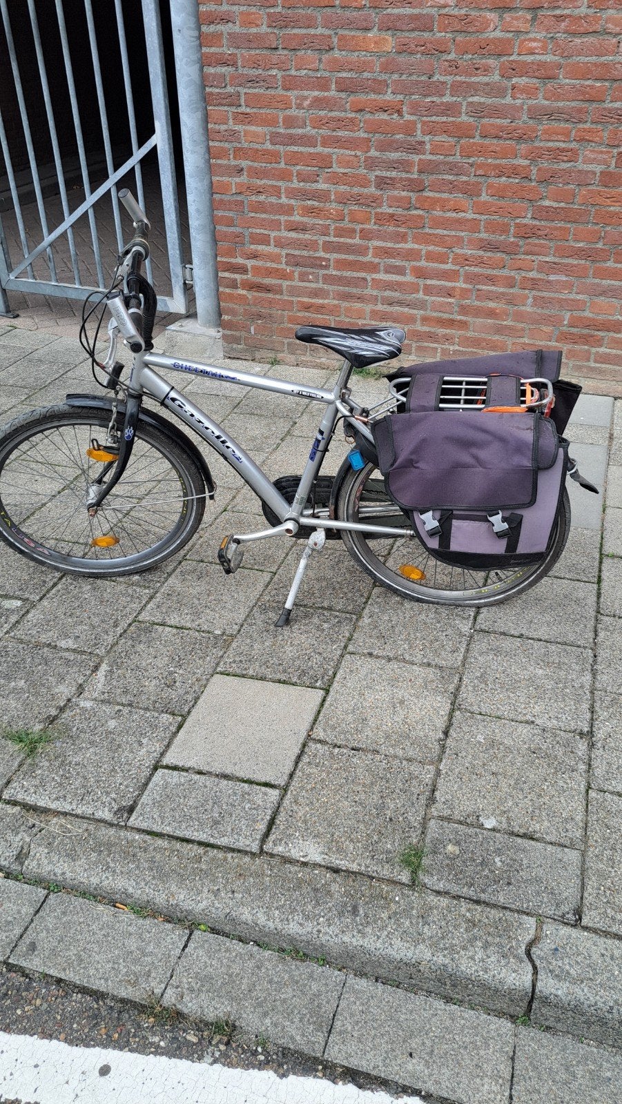 Gazelle Cheetah fiets met fietstassen, Ophalen, Gebruikt, 26 inch of meer