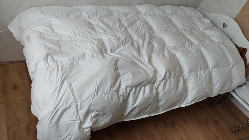Donzen dekbed, Huis en Inrichting, Slaapkamer | Beddengoed, Ophalen, Eenpersoons, Wit, Deken of Dekbed