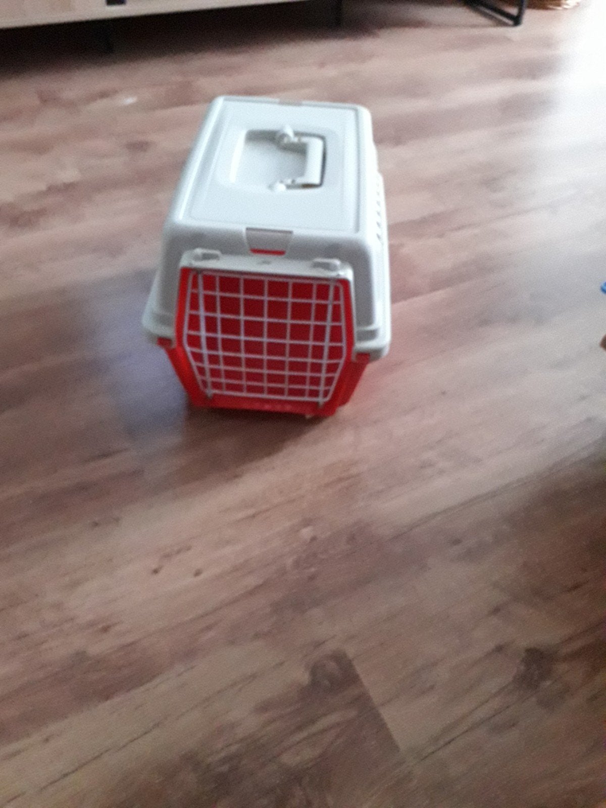 Te koop., Dieren en Toebehoren, Ophalen