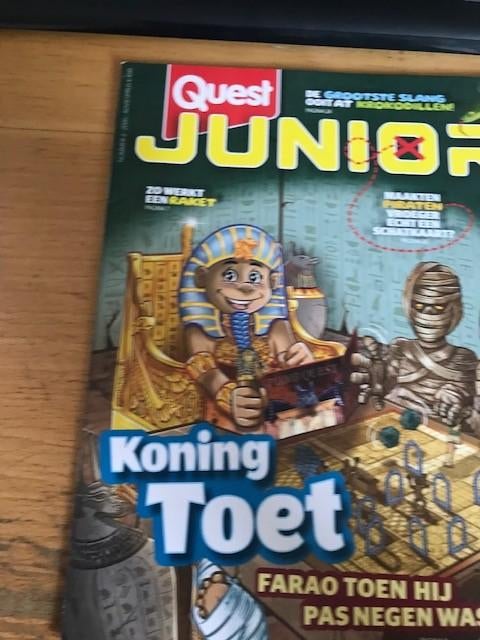 Quest junior, Boeken, Ophalen of Verzenden, Nieuw