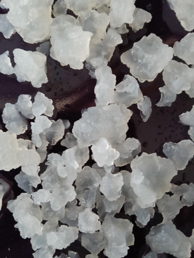 Te Koop mooie verse Waterkefir / Water Kefir nieuw, Ophalen of Verzenden