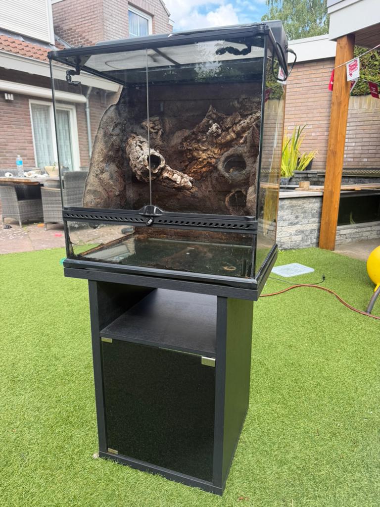 Exo terra 60x45x60 met lichtkap, meubel, mistking, Dieren en Toebehoren, Reptielen en Amfibieën | Toebehoren, Ophalen, Gebruikt