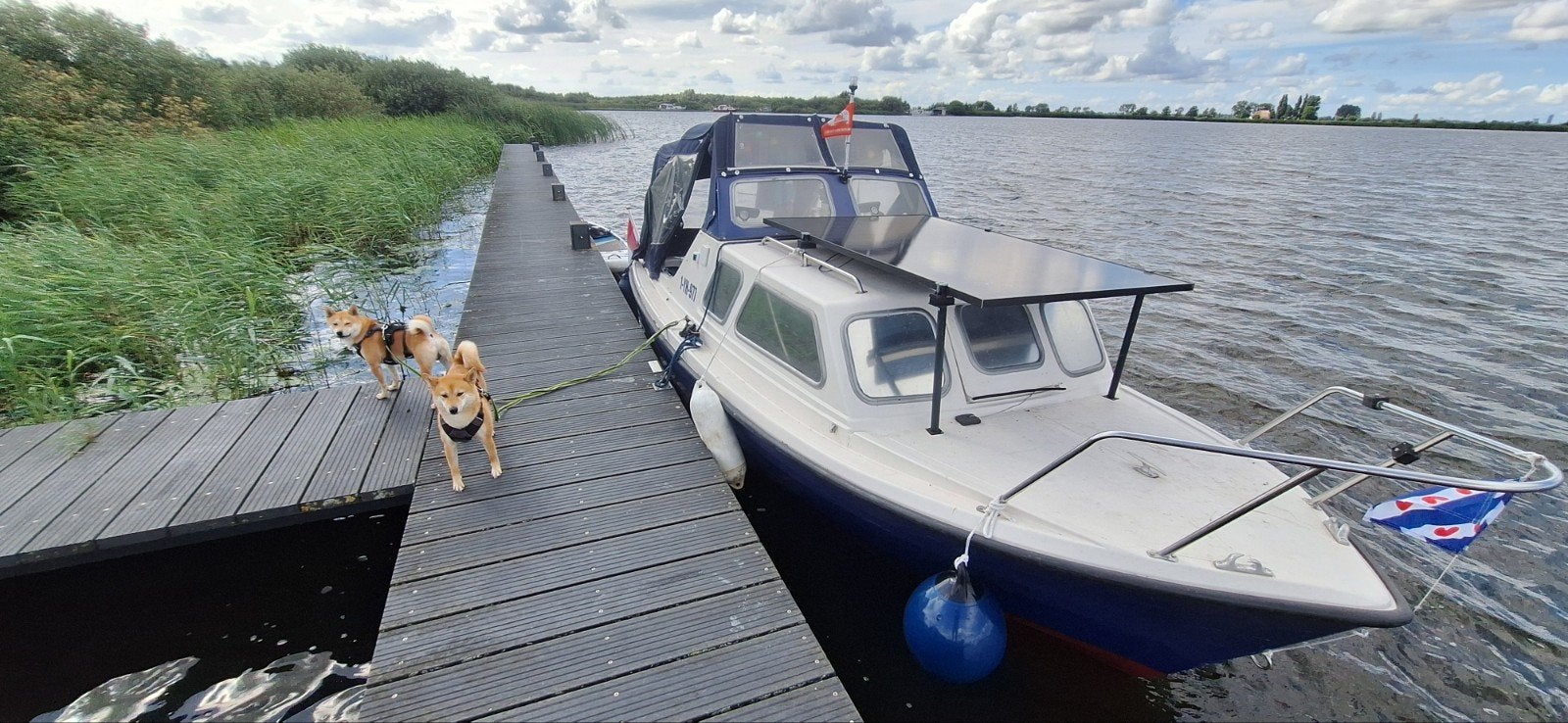 Mayland 18 Kajuitboot met Yamaha 40 pk 4-takt + trailer, Ophalen, Overige merken, Gebruikt, Viertaktmotor