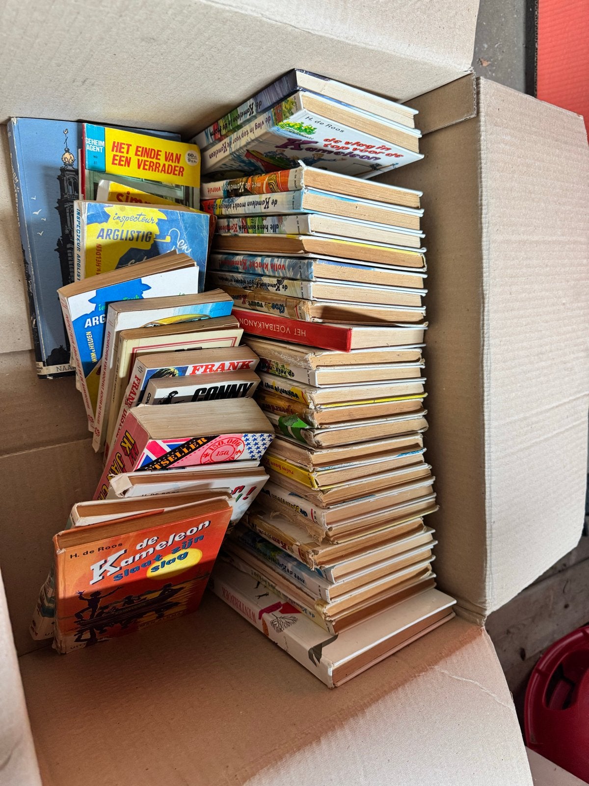Grote partij kinderboeken, waaronder De Kameleon, Boeken, Ophalen, Gelezen, Fictie algemeen
