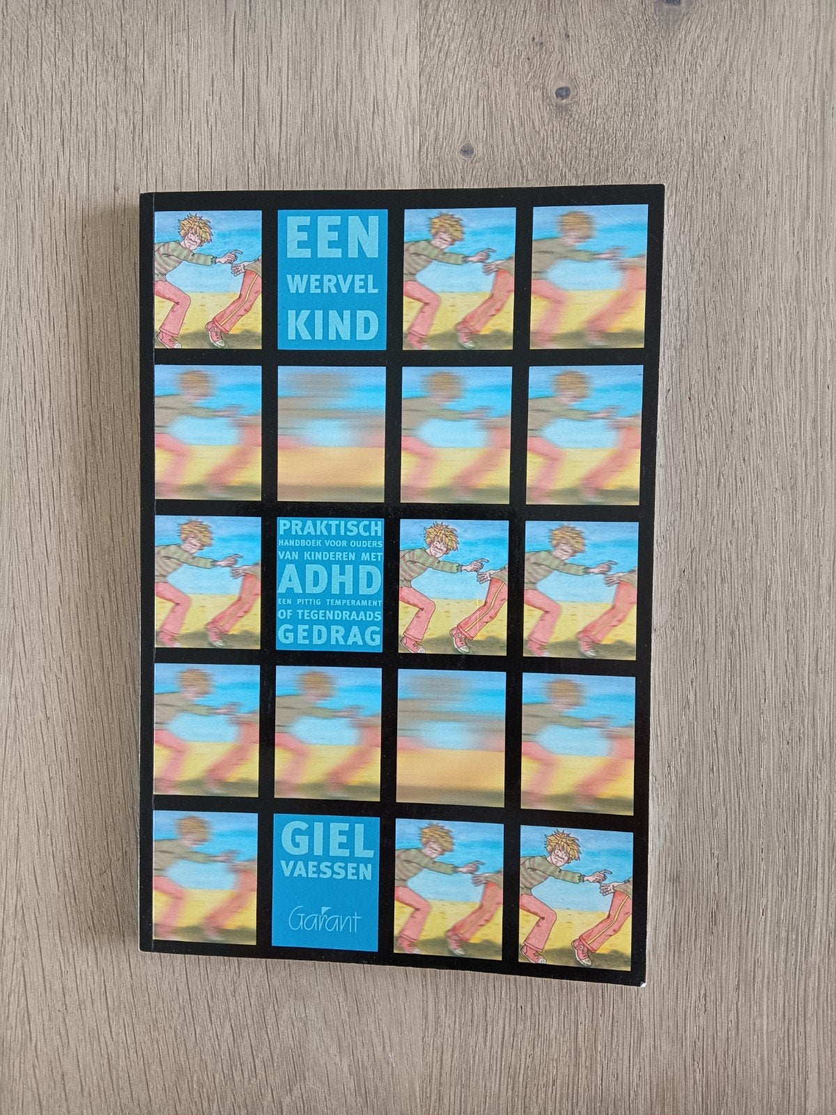 Een Wervelkind: Praktisch handboek voor ouders met ADHD, Ophalen of Verzenden, Zo goed als nieuw, Giel Vaessen