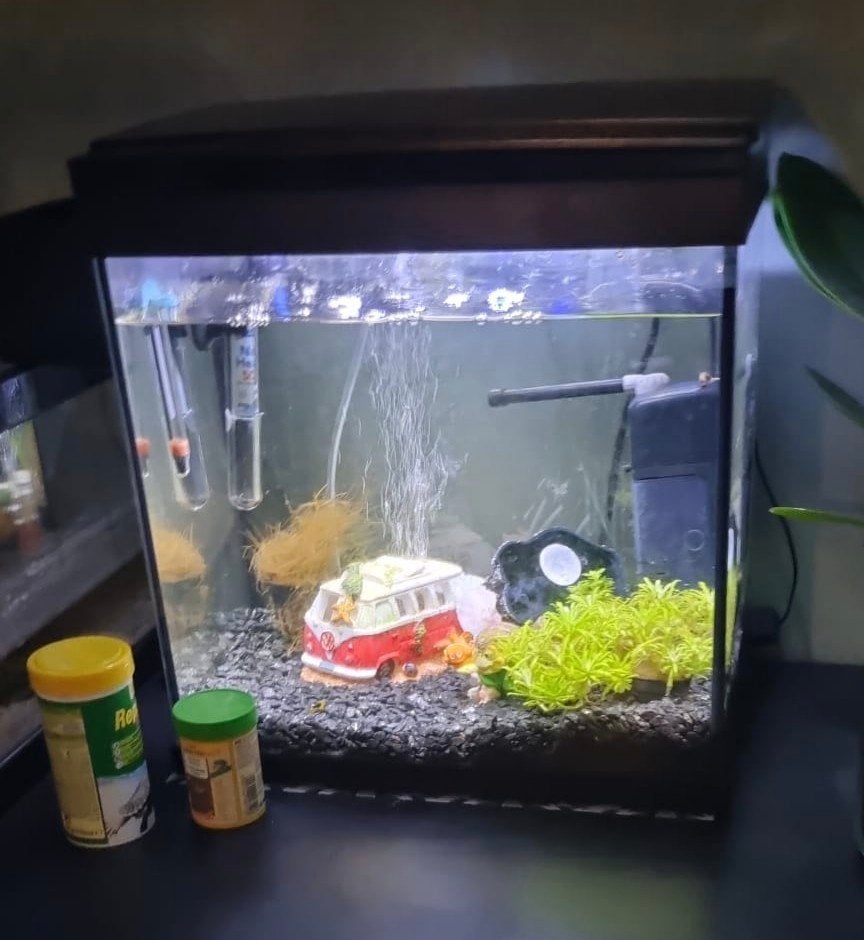starter aquarium met veel extras, Dieren en Toebehoren, Vissen | Aquaria en Toebehoren, Ophalen, Gebruikt, Leeg aquarium, Superfish