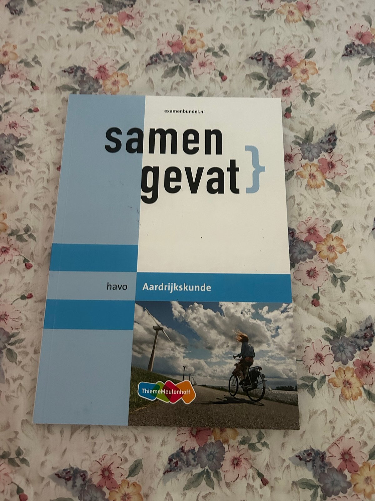 Samengevat havo Aardrijkskunde - Examenbundel, Boeken, Ophalen of Verzenden, Zo goed als nieuw, HAVO, Aardrijkskunde