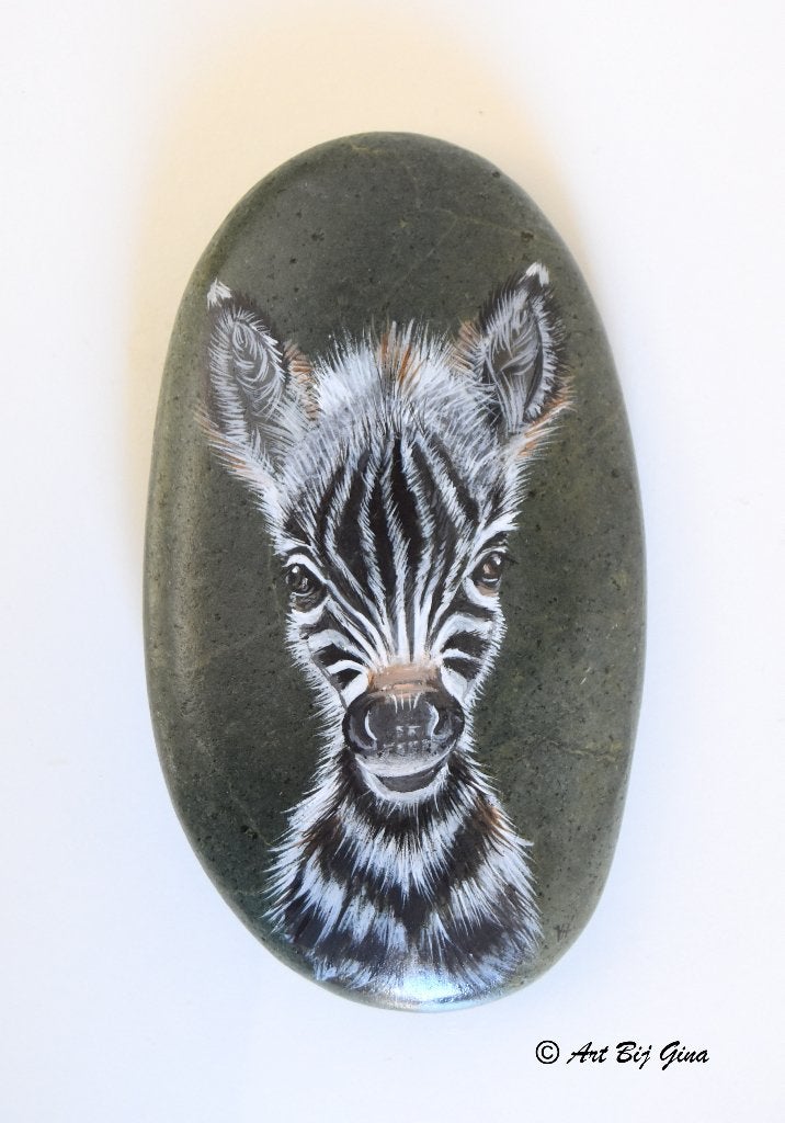 Portret van een zebra veulen geschilderd op steen, Ophalen of Verzenden
