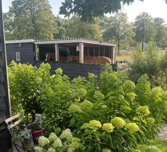weidegang met schuilplaats aangeboden