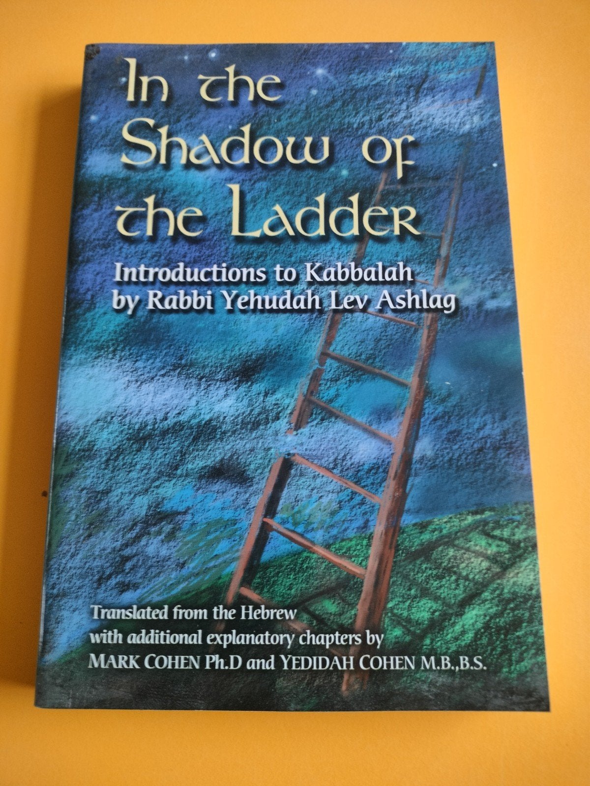 In the Shadow of the Ladder - Introductie tot Kabbalah, Ophalen of Verzenden