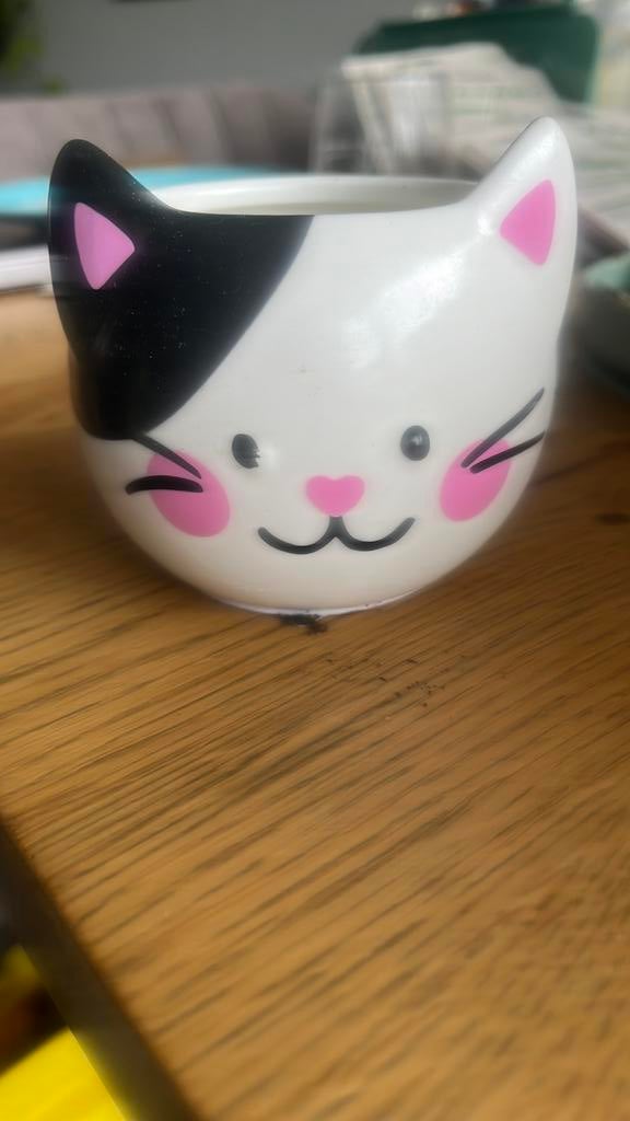 Bloempotje poes hema, Ophalen, Rond, Nieuw, Aardewerk
