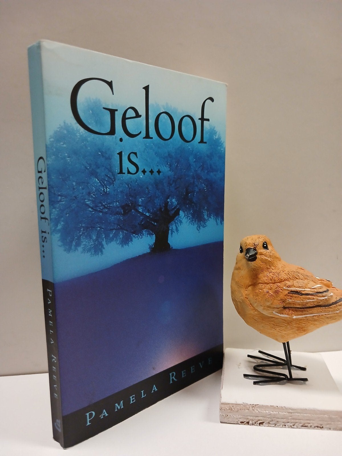 Reeve, Pamela; Geloof is…, Ophalen of Verzenden, Gelezen, Christendom | Protestants