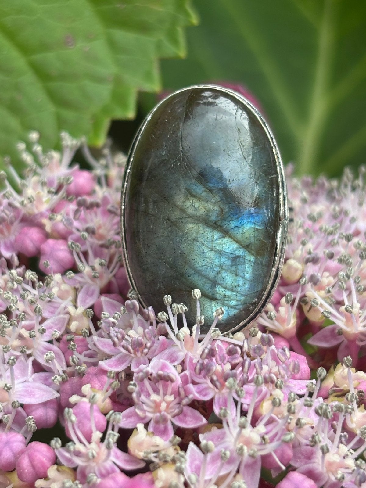 Prachtige Labradoriet Ring Maat 17, Sieraden, Tassen en Uiterlijk, Ringen, Overige kleuren, Nieuw, Ophalen of Verzenden, 17 tot 18