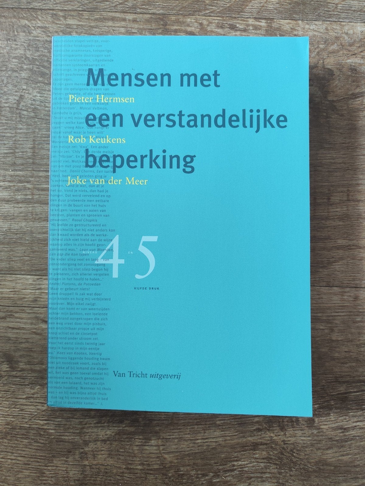 Mensen met een verstandelijke beperking - Praktijkleerboek, Ophalen of Verzenden, Zo goed als nieuw, Gamma, Pieter Hermsen, Rob Keukens, Joke van der Meer