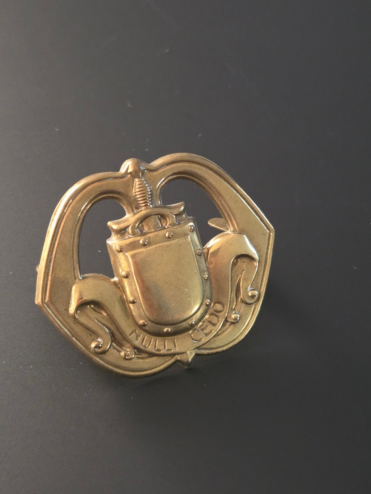 Baretembleem met buiglippen Regiment Infanterie, Verzamelen, Militaria | Algemeen, Ophalen of Verzenden, Landmacht, Nederland