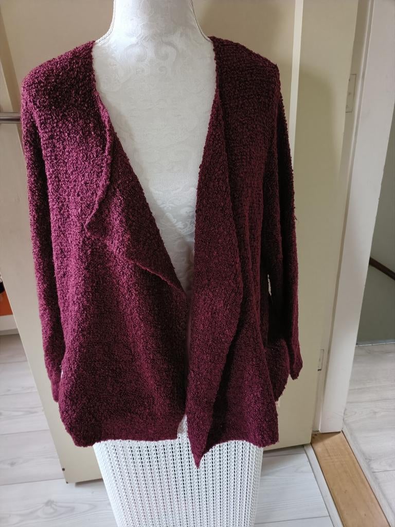 WIJNROOD VEST, Maat 42/44 (L), Ophalen of Verzenden, Zo goed als nieuw, Gina Benotti