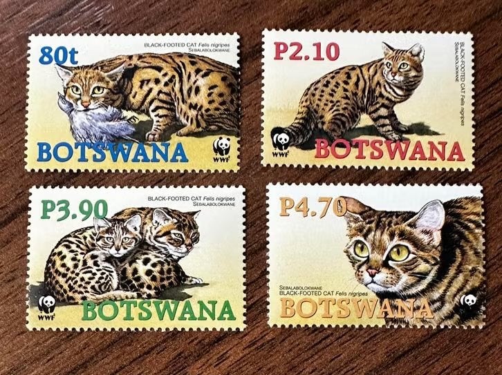 Botswana 2005 - Katachtigen (Zwartvoetkat) - Postfris, Ophalen of Verzenden, Overige landen, Postfris
