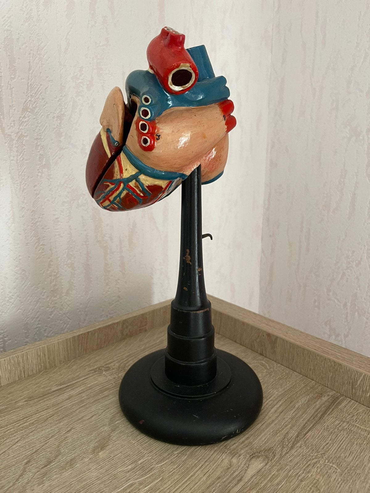 Ananatomisch model hart., Ophalen of Verzenden