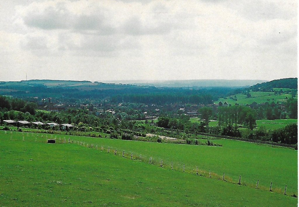 Schin op Geul- -Panorama., Verzenden, 1980 tot heden, Gelopen, Limburg