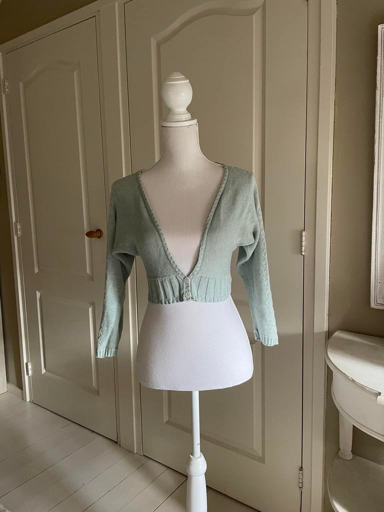 Noa Noa Vest / 100 % Cotton / S / Blauw / Groen, Ophalen of Verzenden, Zo goed als nieuw, Maat 36 (S), Blauw