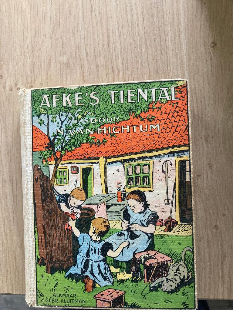 Boek N. van Hictum, Ophalen of Verzenden, Gelezen