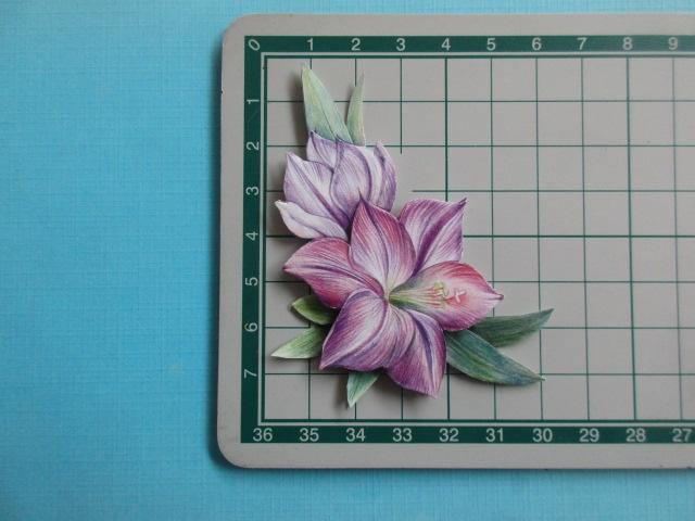 j34 Jeanine / bloemen, Verzenden, Nieuw, Overige thema's, Overige typen