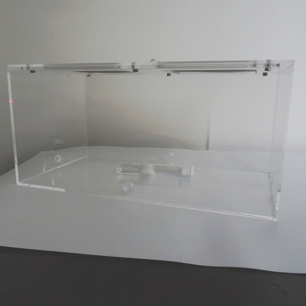 Grote Mieren Arena XXL 30x17x14,5 cm Mier houden insecten, Mieren
