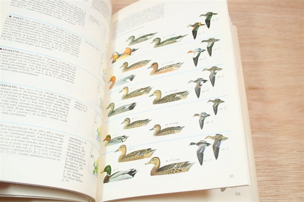 Vogels van Europa — Thieme\'s Natuurgidsen [1988], Ophalen of Verzenden, Gelezen, Vogels