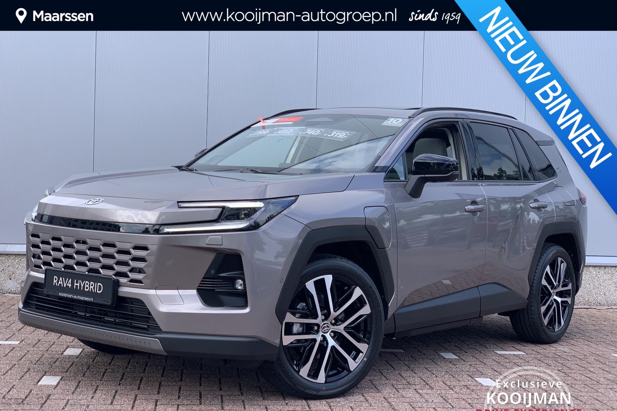 Toyota RAV4 2.5 Plug-in Hybrid 270 Executive / Panorama Dak