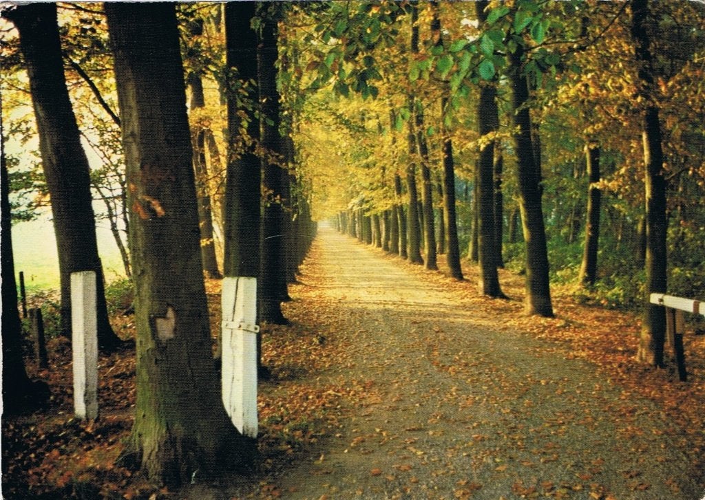 Hengelo (Gld), Regelinklaan - 1977, Verzamelen, Verzenden, 1960 tot 1980, Gelopen, Gelderland