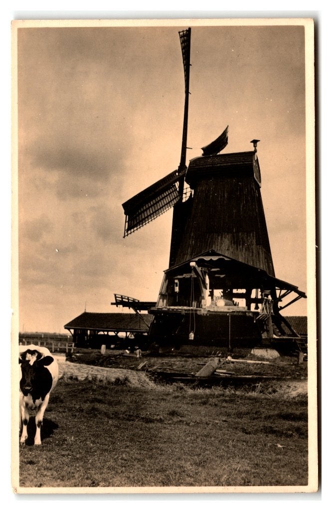 Zaandam (Westzijde) Paltrokmolen de Pet, Verzenden, 1940 tot 1960, Ongelopen, Noord-Holland