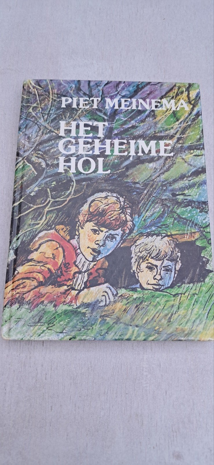 Het Geheime Hol - Piet Meinema (1978), Ophalen of Verzenden, Gelezen, Piet Meinema, Fictie algemeen