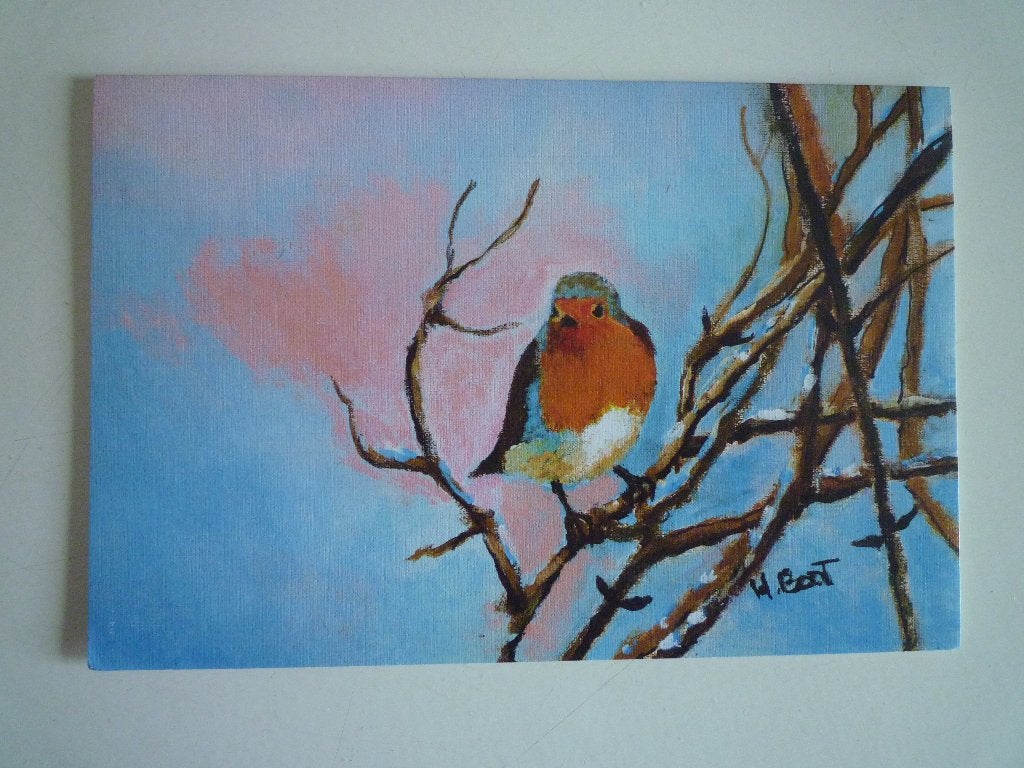 Roodborstje vogels, Ophalen of Verzenden, Voor 1920, Vogel