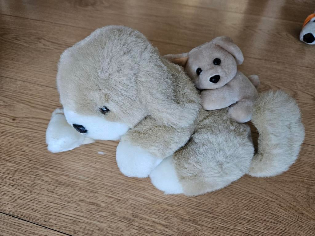 Hondknuffel met pup, Ophalen of Verzenden, Gebruikt, Hond