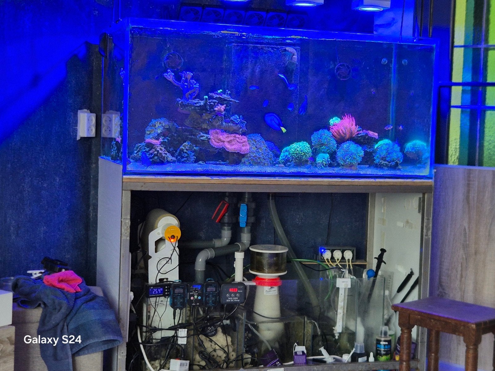 aquarium, Ophalen of Verzenden, Leeg aquarium