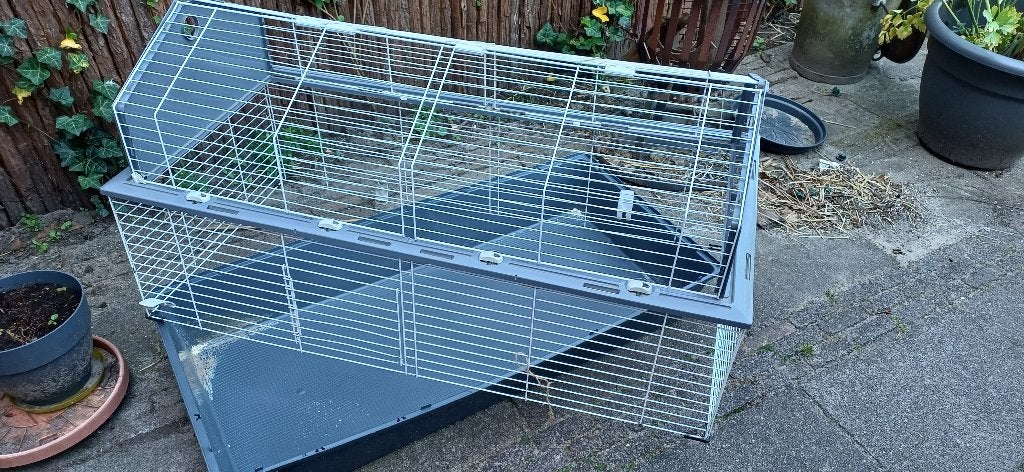 Caviakooi, Dieren en Toebehoren, Knaagdieren en Konijnen | Hokken en Kooien, Rat, Kooi, Gebruikt, 75 tot 110 cm