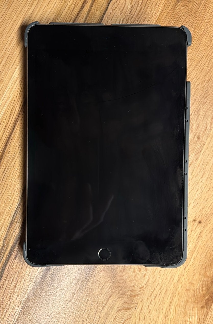 Apple iPad mini 5 256gb 4G, Ophalen, Zo goed als nieuw, 8 inch, Apple iPad