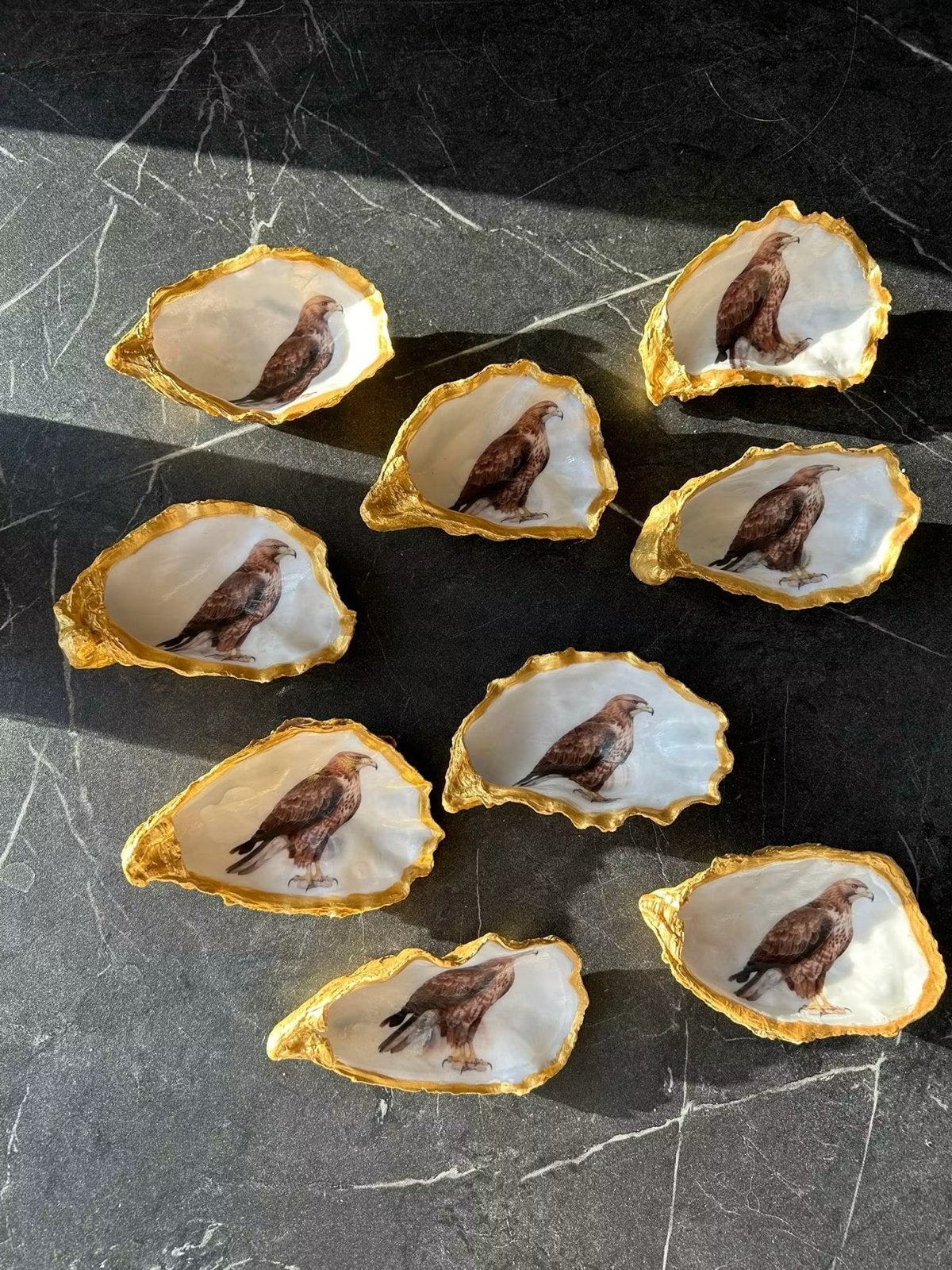 Schelpen met Vogelmotief Roofvogel Oester Valk, Uil Adelaar, Ophalen of Verzenden, Nieuw, Vogel, Opgezet dier