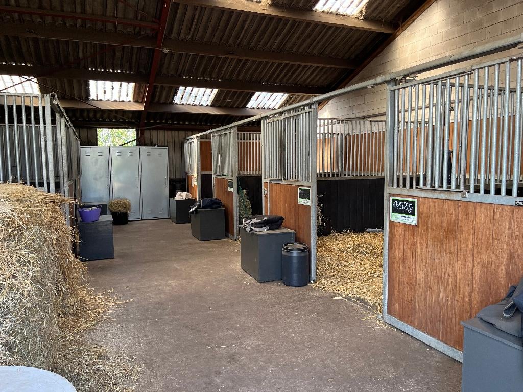 stalling en weide gang te LOOSDRECHT, Dieren en Toebehoren, Stalling en Weidegang, Stalling