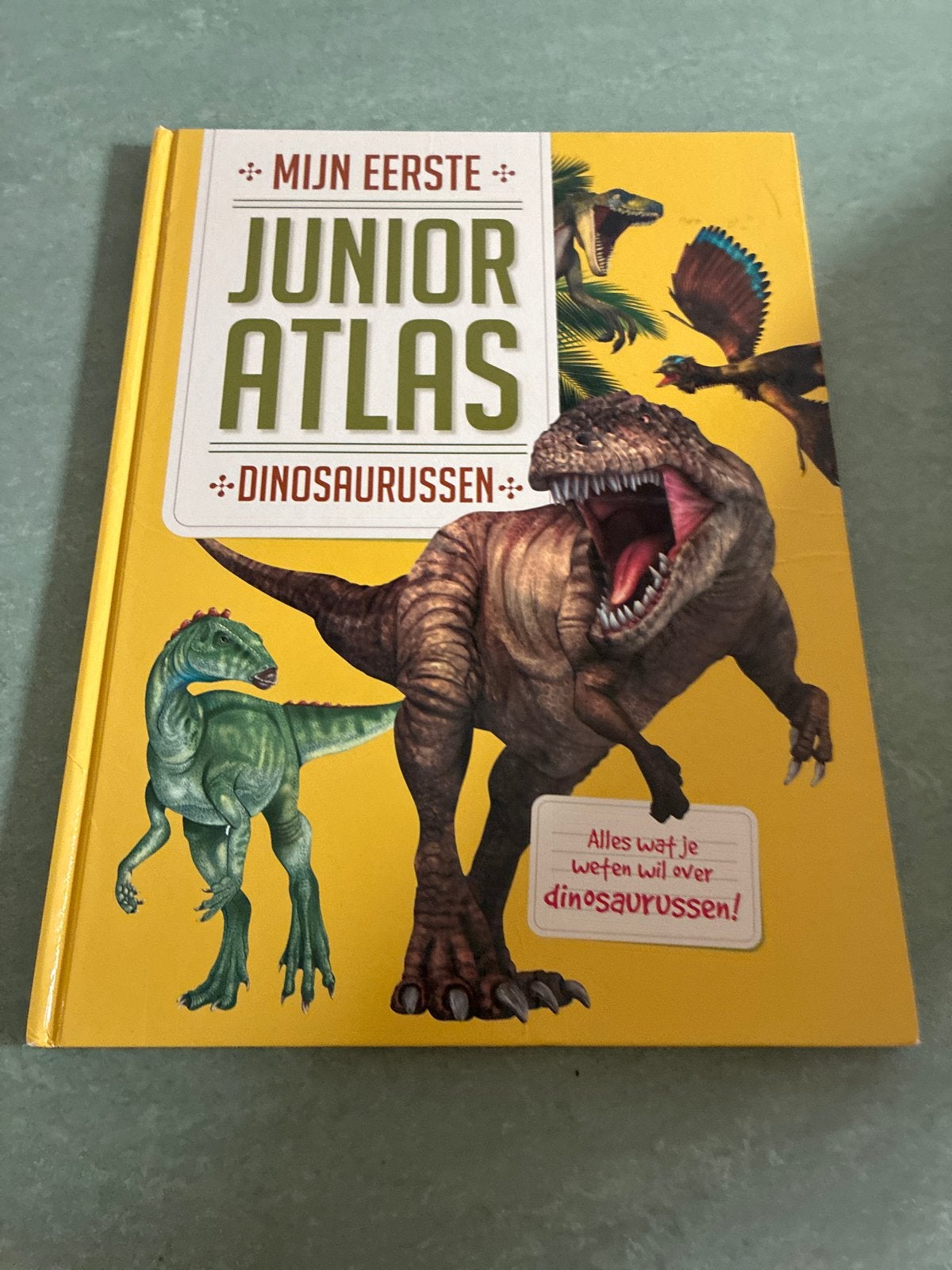 Mijn Eerste Junior Atlas: Dinosaurussen, Boeken, Ophalen, Zo goed als nieuw, Non-fictie