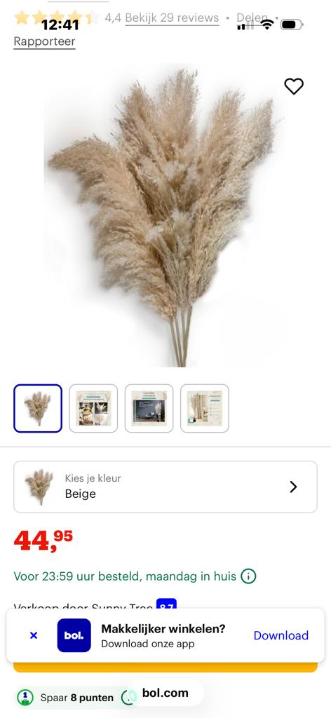 Pampas Pluimen - 5 Stuks 105 cm NIEUW - Droogbloemen - Beige, Ophalen of Verzenden, Nieuw