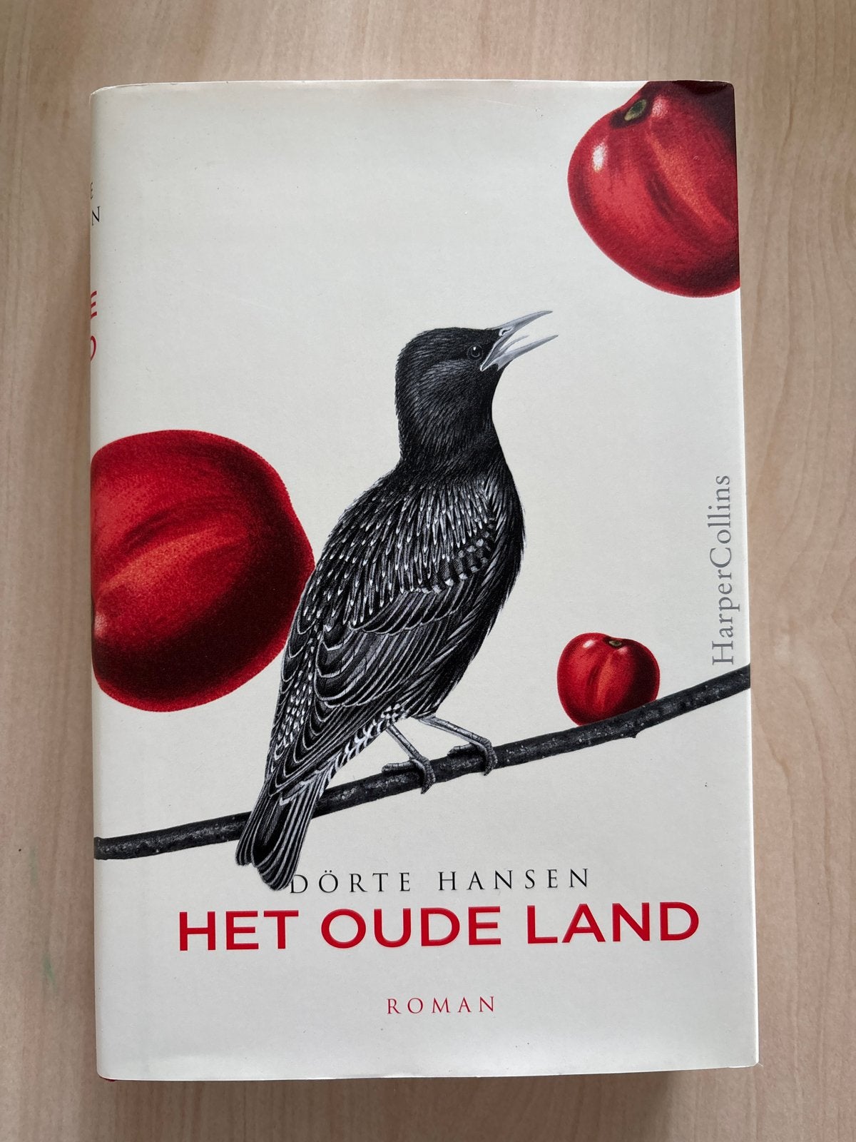 Het Oude Land - Dörte Hansen (Roman), Ophalen of Verzenden, Zo goed als nieuw, Europa overig