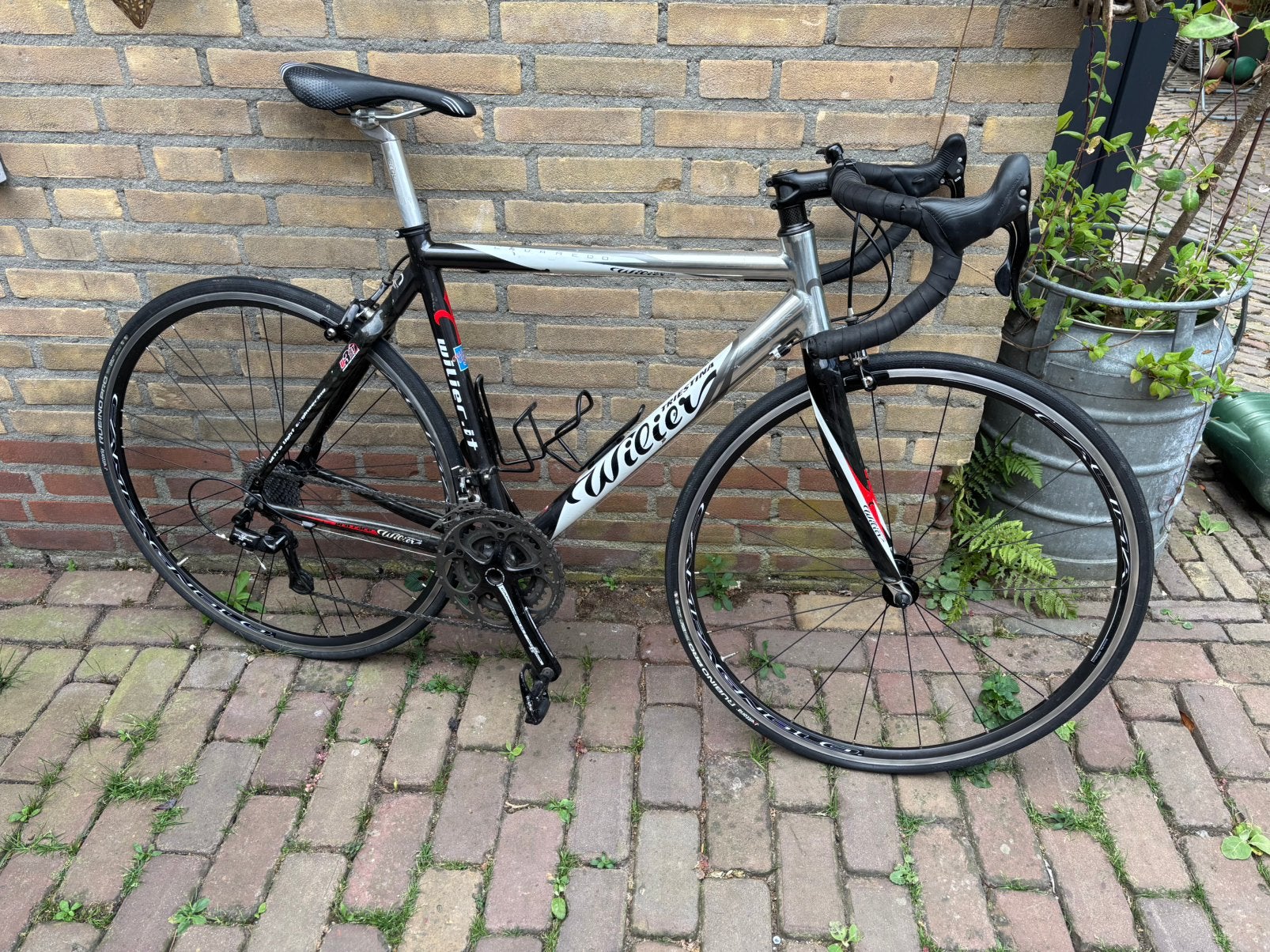 53 cm alu-carbon Willier met campagnolo Athena 3*11 speed, 28 inch, Gebruikt, Aluminium, Meer dan 20 versnellingen