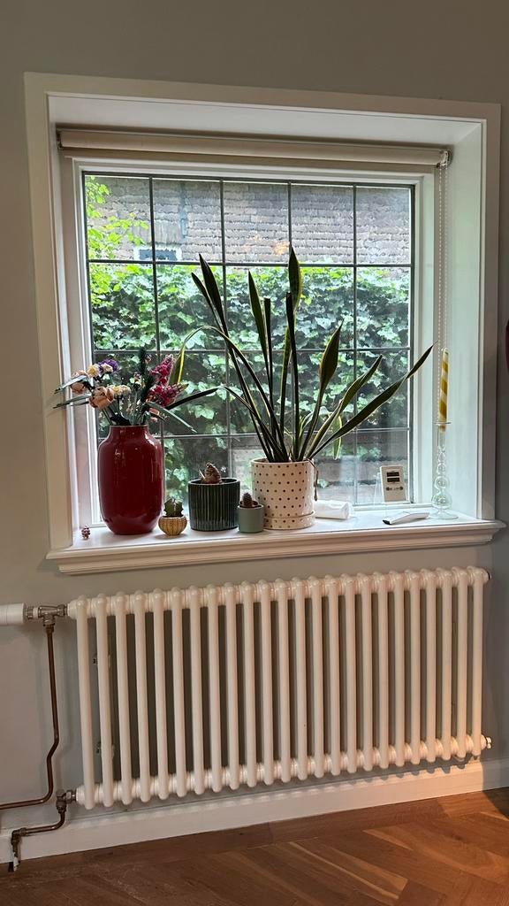 Zehnder Charleston 2 koloms designradiator, Doe-het-zelf en Verbouw, Verwarming en Radiatoren, Ophalen, Radiator, Minder dan 60 cm