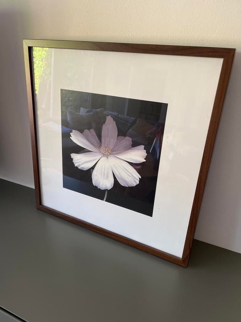 1x IKEA Ribba fotolijst 1139 met bloemenprint, Ophalen of Verzenden, Gebruikt, Hout