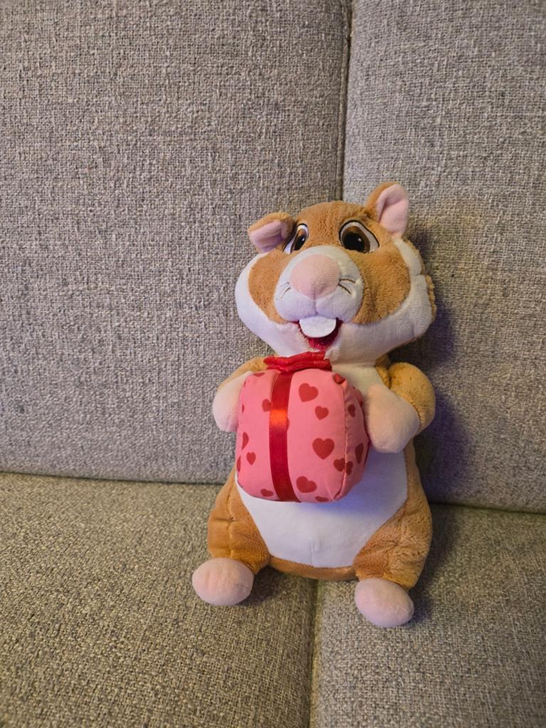 Valentijns  hamster, Hamster, Ophalen of Verzenden, Zo goed als nieuw, Middelgroot (20 tot 80 cm)